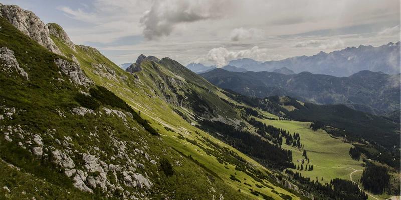 从曹操369事件看古代战场救护：如何用“同城快递”思维优化现代生活服务与即时配送
