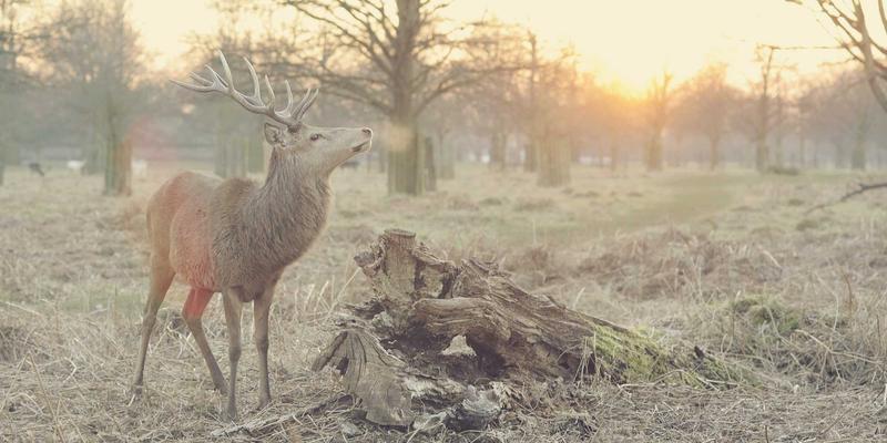 从曹操369到同城快递：古代军事密码如何启示现代跑腿服务的数据安全