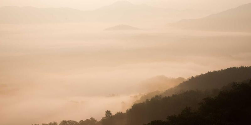 从曹操典故到现代生活服务:看生鲜外卖配送如何演绎“说曹操,曹操到”