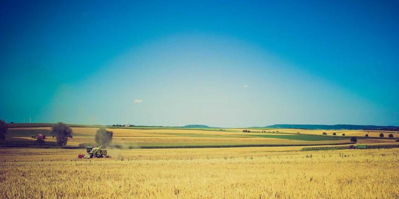 从曹操“望梅止渴”到现代生活服务：生鲜与外卖配送如何重塑我们的日常
