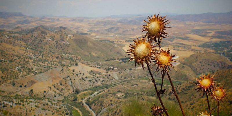 曹操36920：解码新零售时代下商超便利、外卖与生鲜配送的融合革命