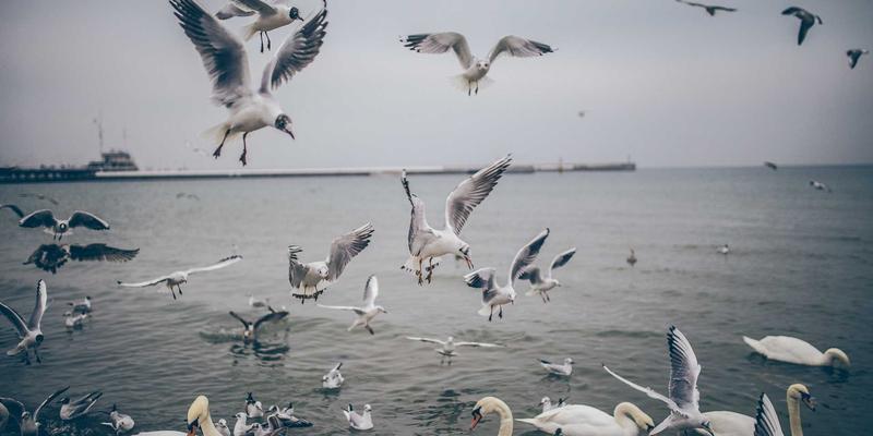 曹操36997：解码同城快递、即时配送与生鲜配送的智慧物流新范式