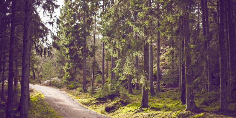 曹操369与古代供应链金融：粮草先行背后的早期信用与押运体系