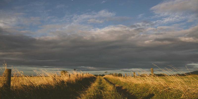 曹操369案例分析：生活服务赛道的即时配送新解法