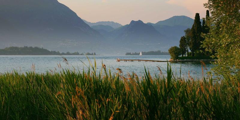 曹操369的粮草智慧：如何用生鲜配送与跑腿服务优化现代商超便利店的库存策略