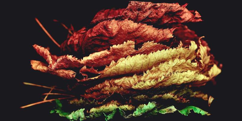 曹操369里急行军：古代军事心理学如何塑造团队凝聚力与现代生活服务启示