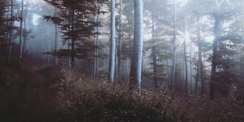 曹操跑腿:不止于商超便利,现代生活服务的效率革命